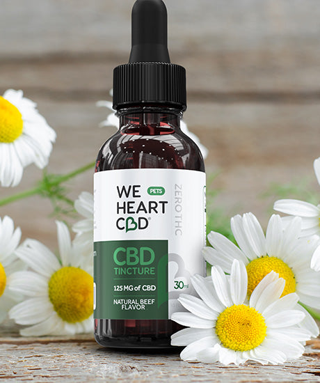 Texas 1# Choice CBD – We Heart CBD