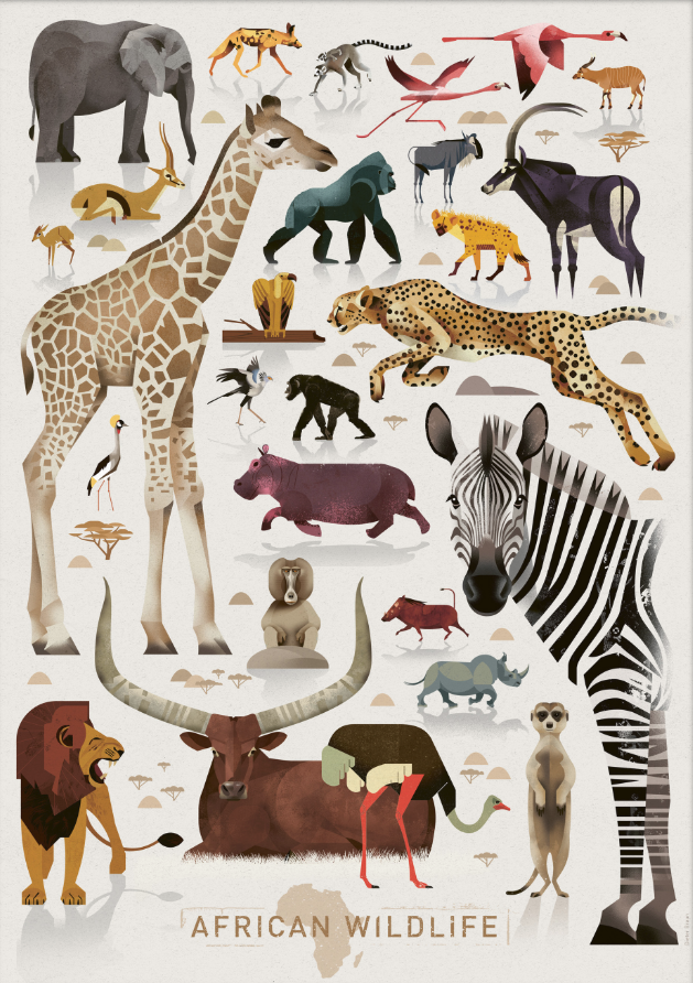 Dieter Braun poster African Wildlife 50 x 70 cm