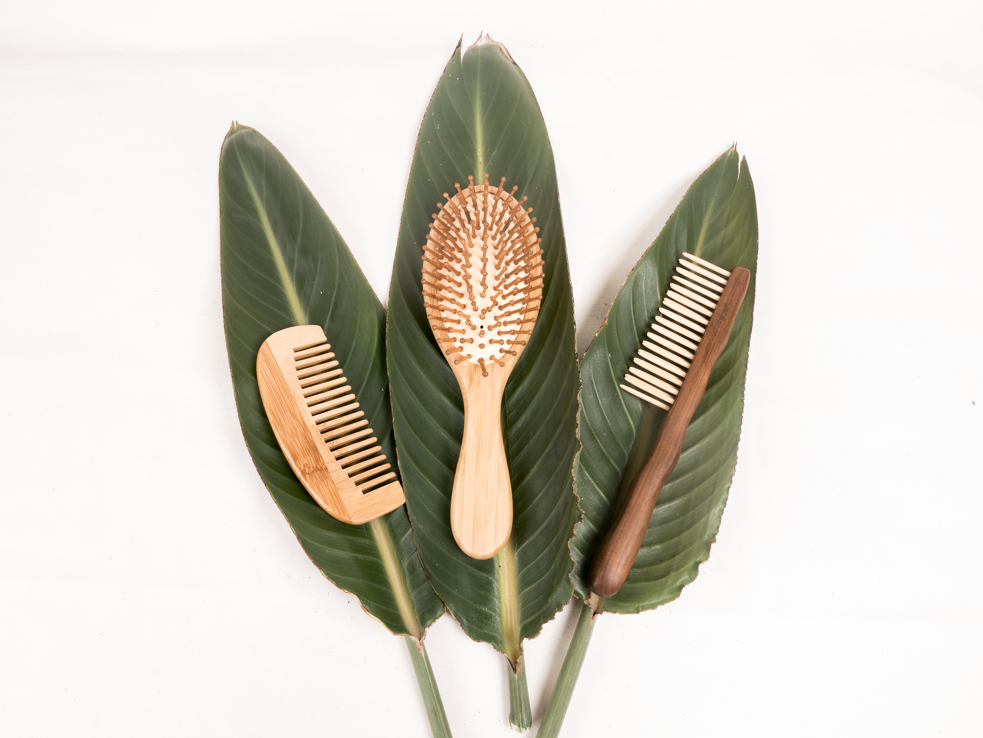 wooden combs and brushes