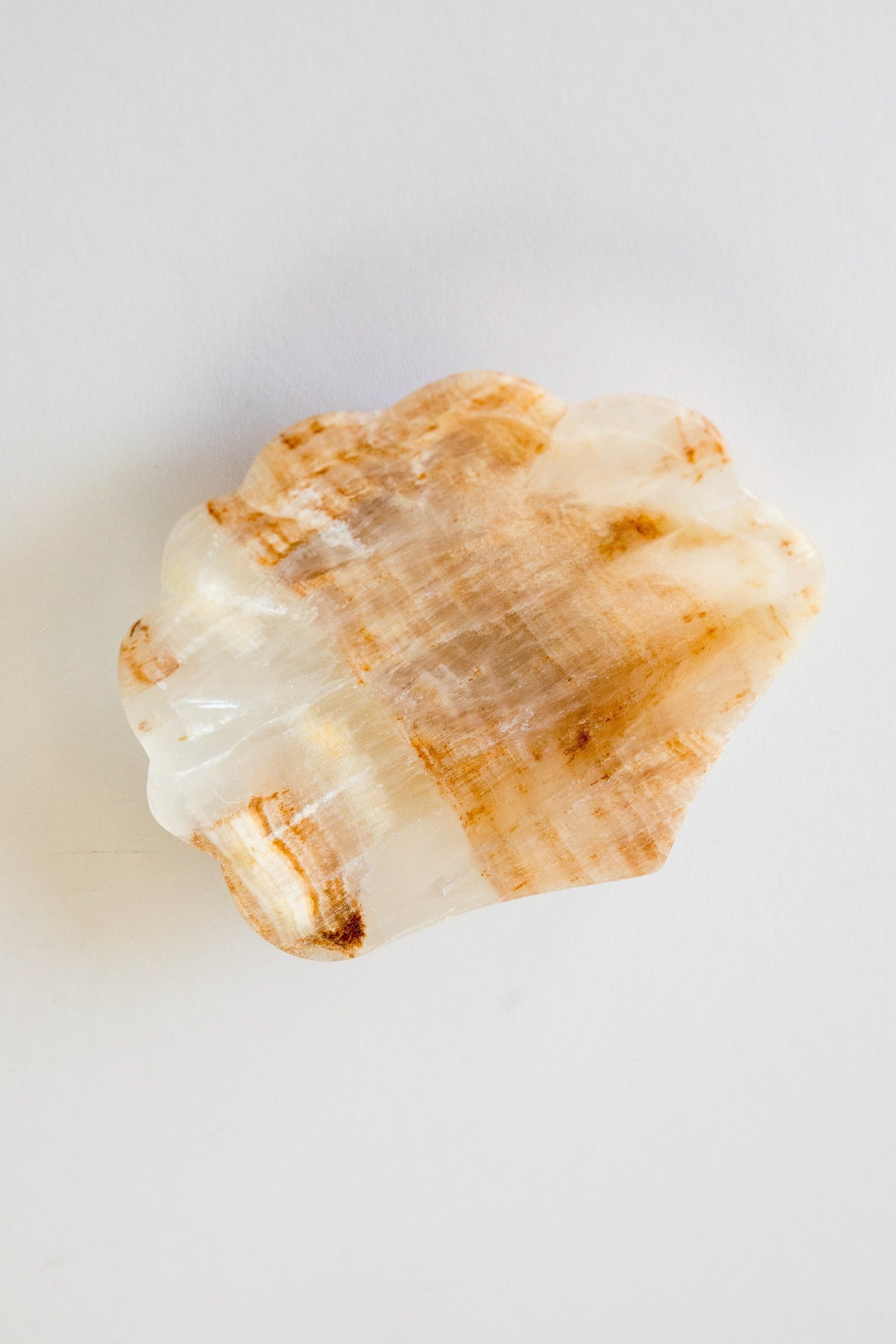 002 Shell Ring Dish