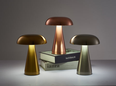 https://www.letifly.com/products/retro-mushroom-restaurant-led-table-lamp