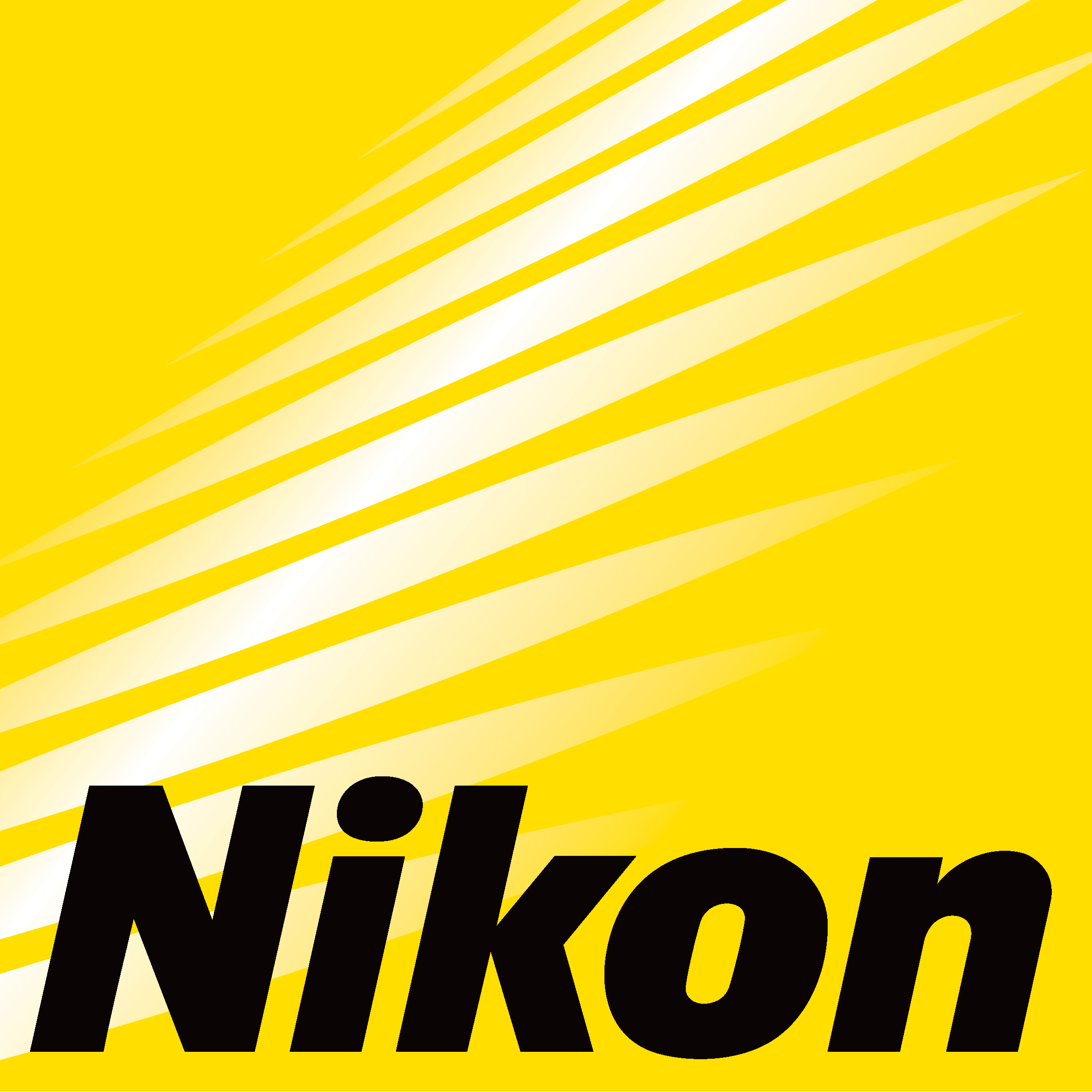 Logo Nikon_senza pay off[49].png__PID:d84bd175-d300-4c88-910e-778bb8ab9ae0