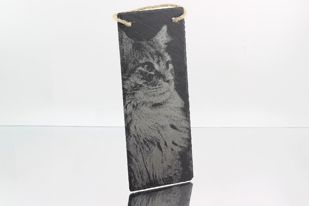 Creating Shades In Laser Engraving Using ‘Scan Gap’ cat on slate sign