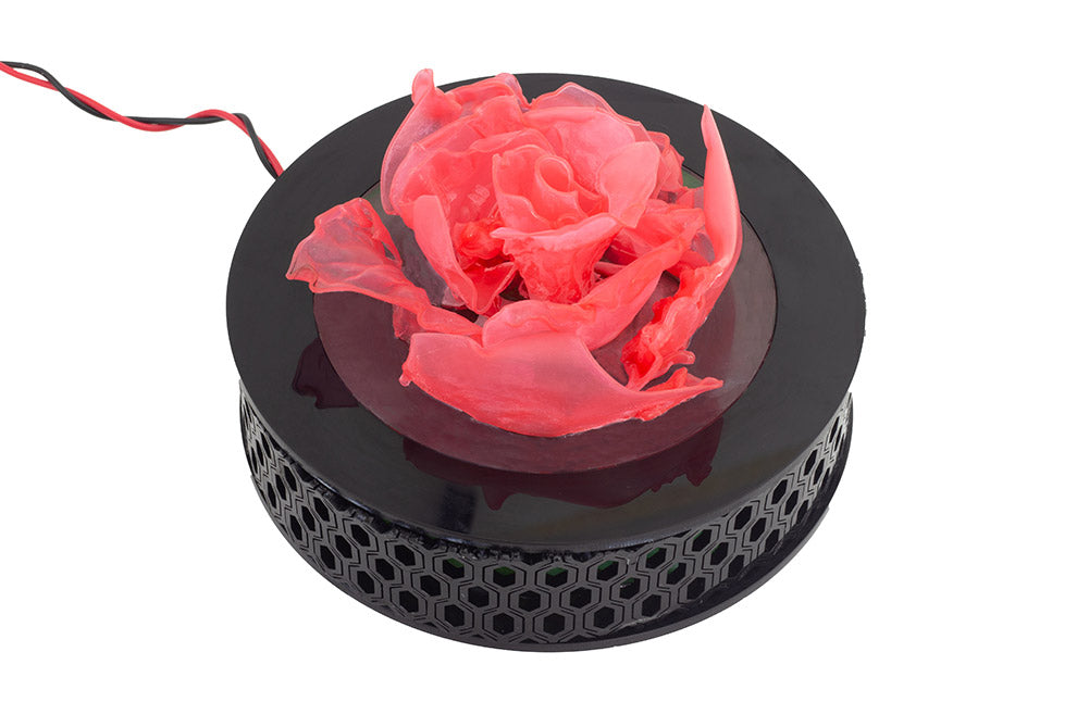 Lasercut & Thermoformed Polypropylene Rose Lamp complete