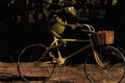 Scene from the muppet movie