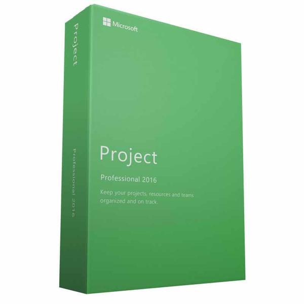Microsoft Project Professional 16