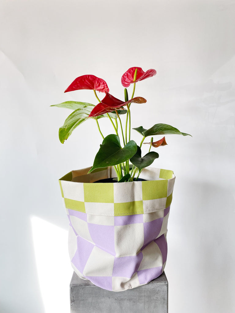 Lauren Brown Planter Bag, Peach & Ultramarine – Brave Floral