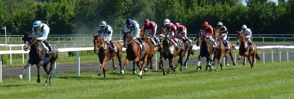 Plusieurs chevaux qui participent à une course hippique dans un hippodrome