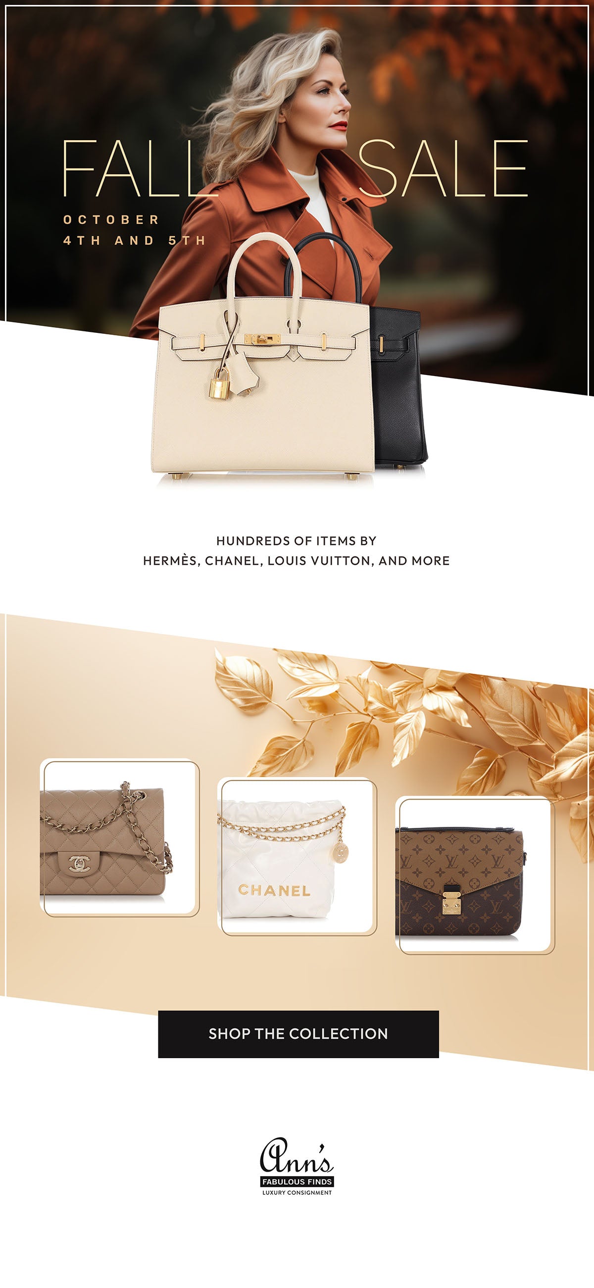 Two-Day Fall Sale: Big Savings on Hermès, Chanel, Louis Vuitton & More -  Ann's Fabulous Finds