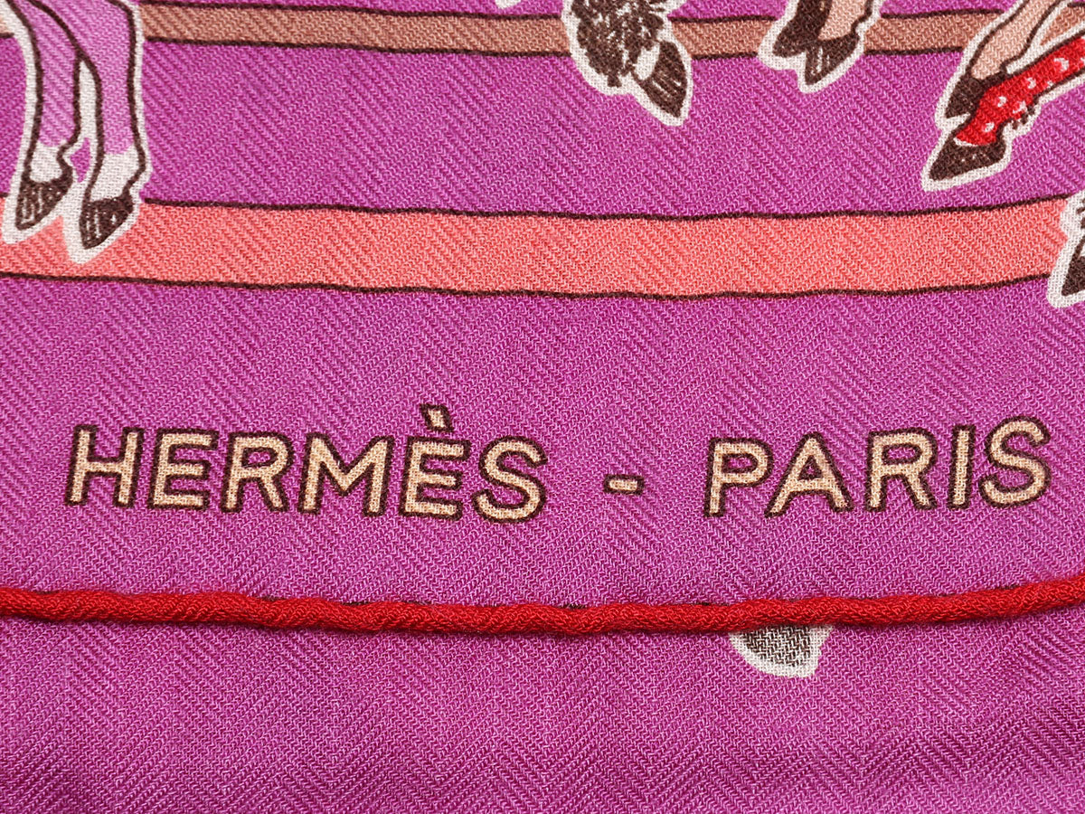 Hermés Scarves