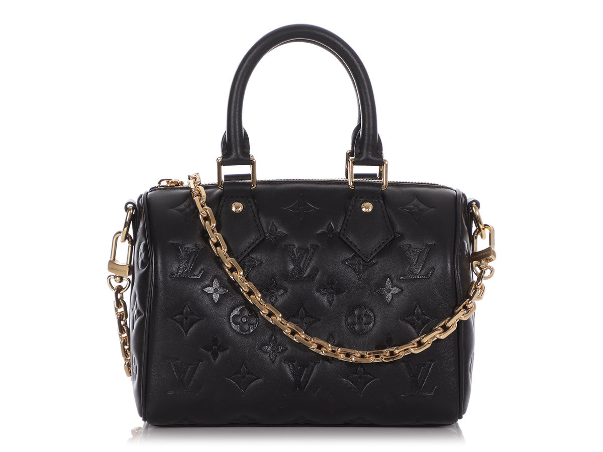 Louis Vuitton Handbags