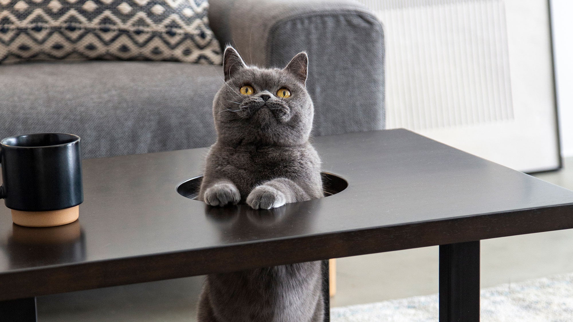 KANADEMONOの猫インテリアNekodamonoシリーズのネコ穴付きローテーブル