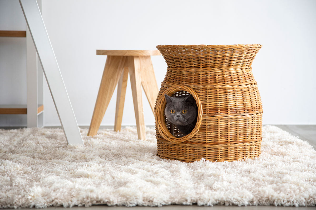 ラタンの手編み籠でつくられたナチュラルな雰囲気のペットハウス（猫入りイメージカット3）