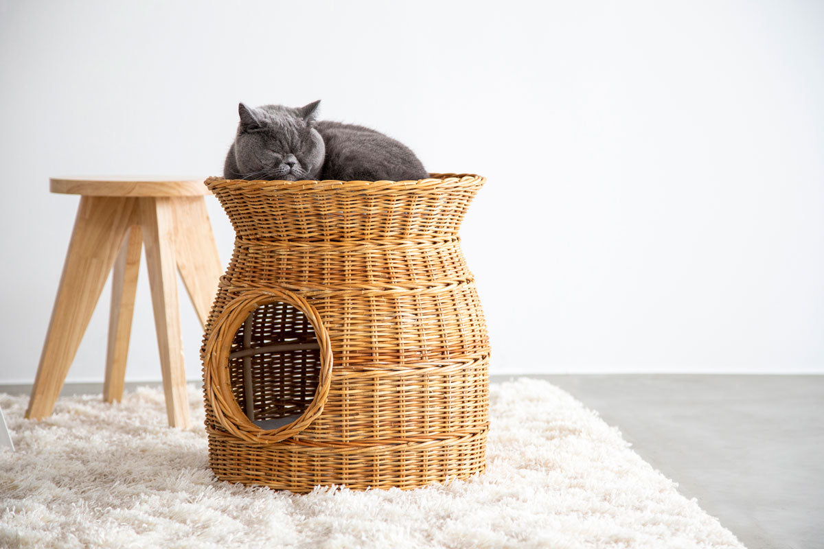 ラタンの手編み籠でつくられたナチュラルな雰囲気のペットハウス（猫入りイメージカット1）