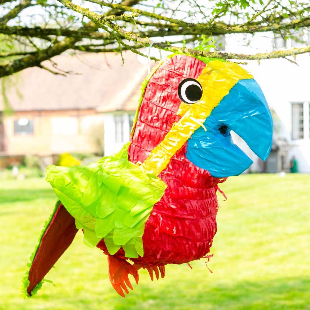 Click to view product details and reviews for Parrot Pinata.