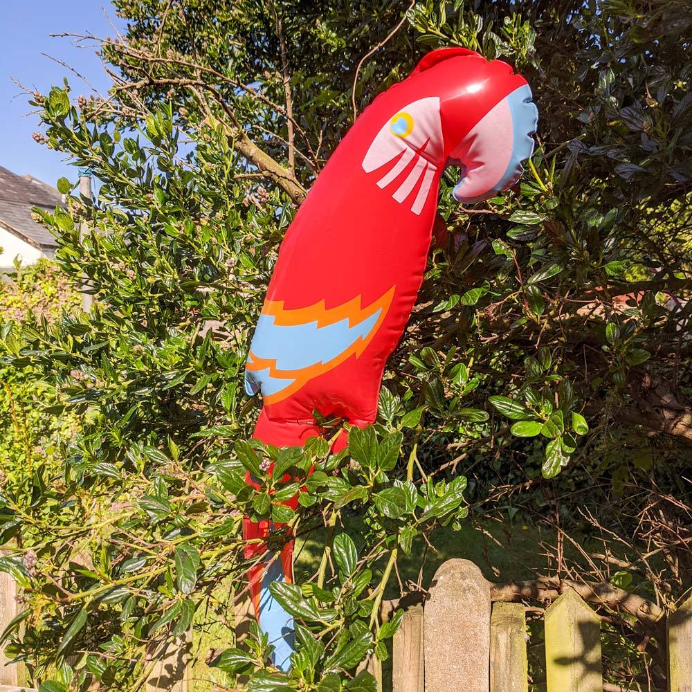 Click to view product details and reviews for Inflatable Parrot.