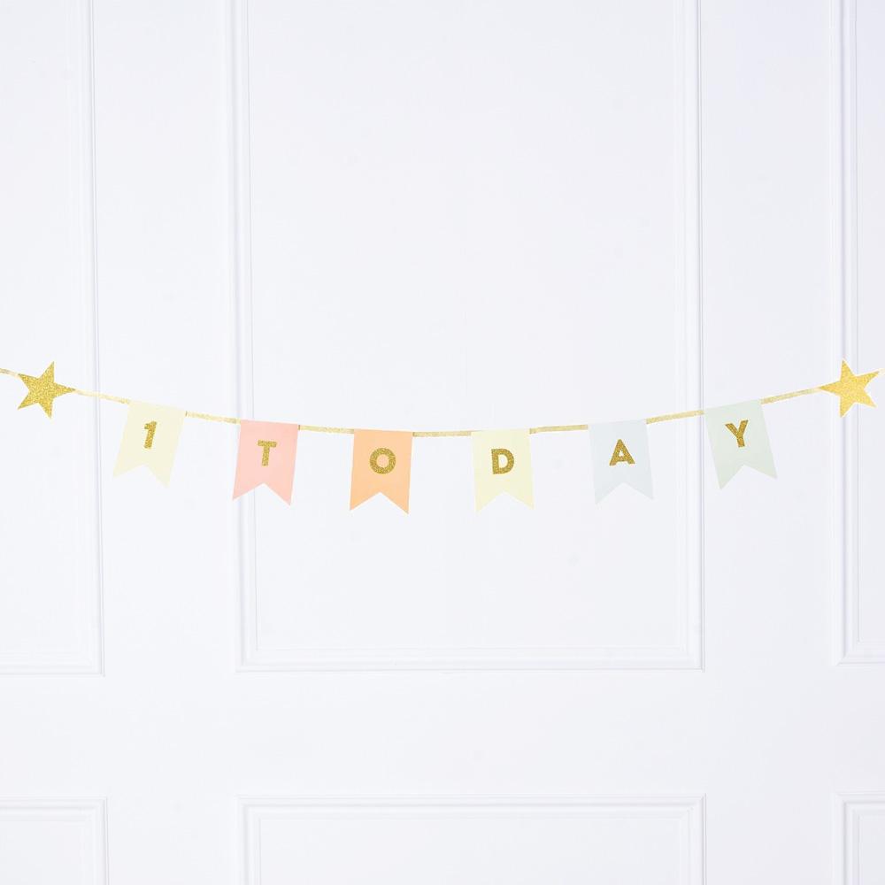 Click to view product details and reviews for 1st Birthday Party Garland.