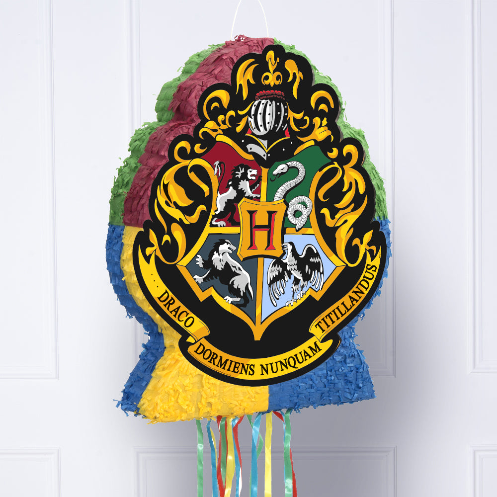 Click to view product details and reviews for Harry Potter Shaped Drum Pinata.