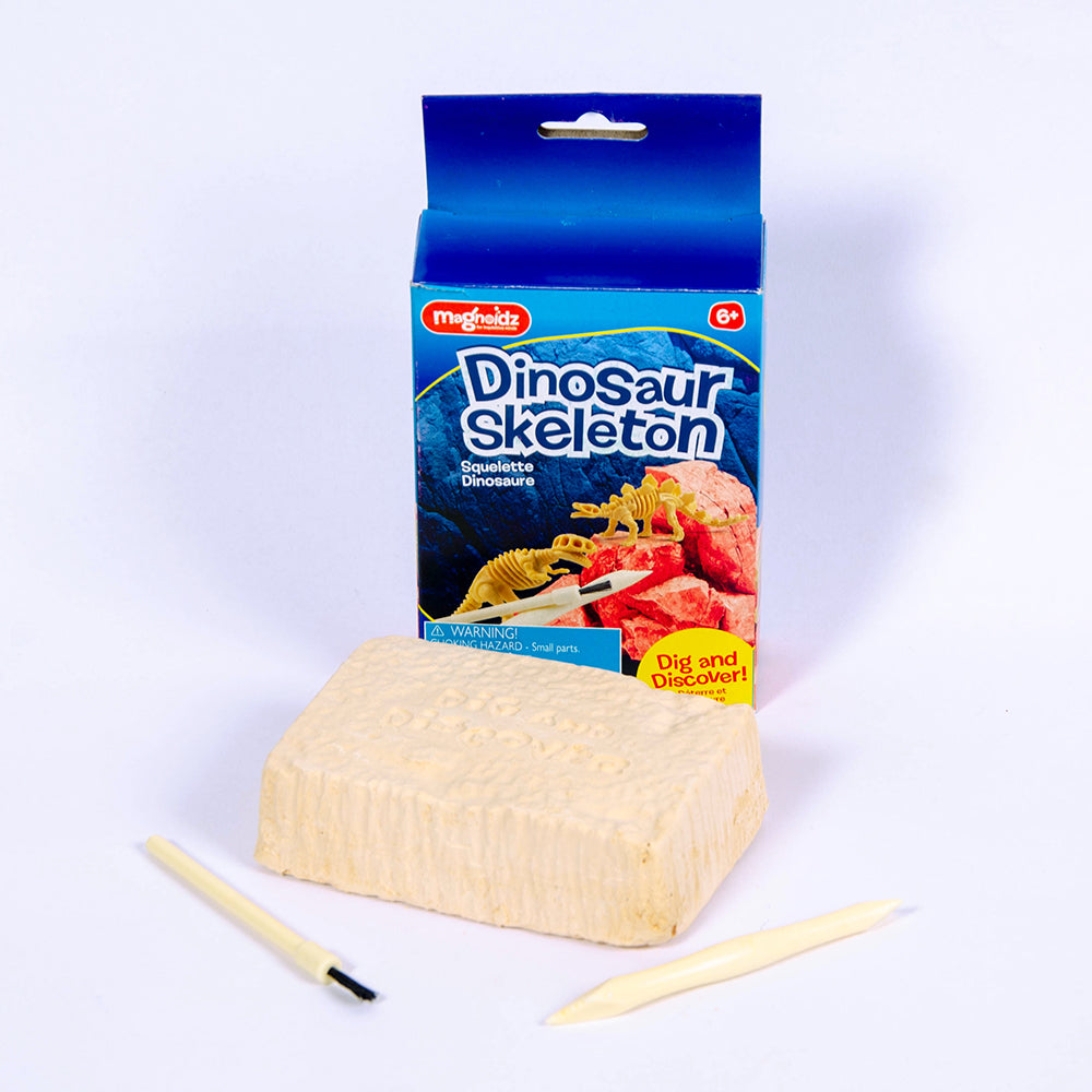 Dig Discover Dinosaur Skeleton Kit