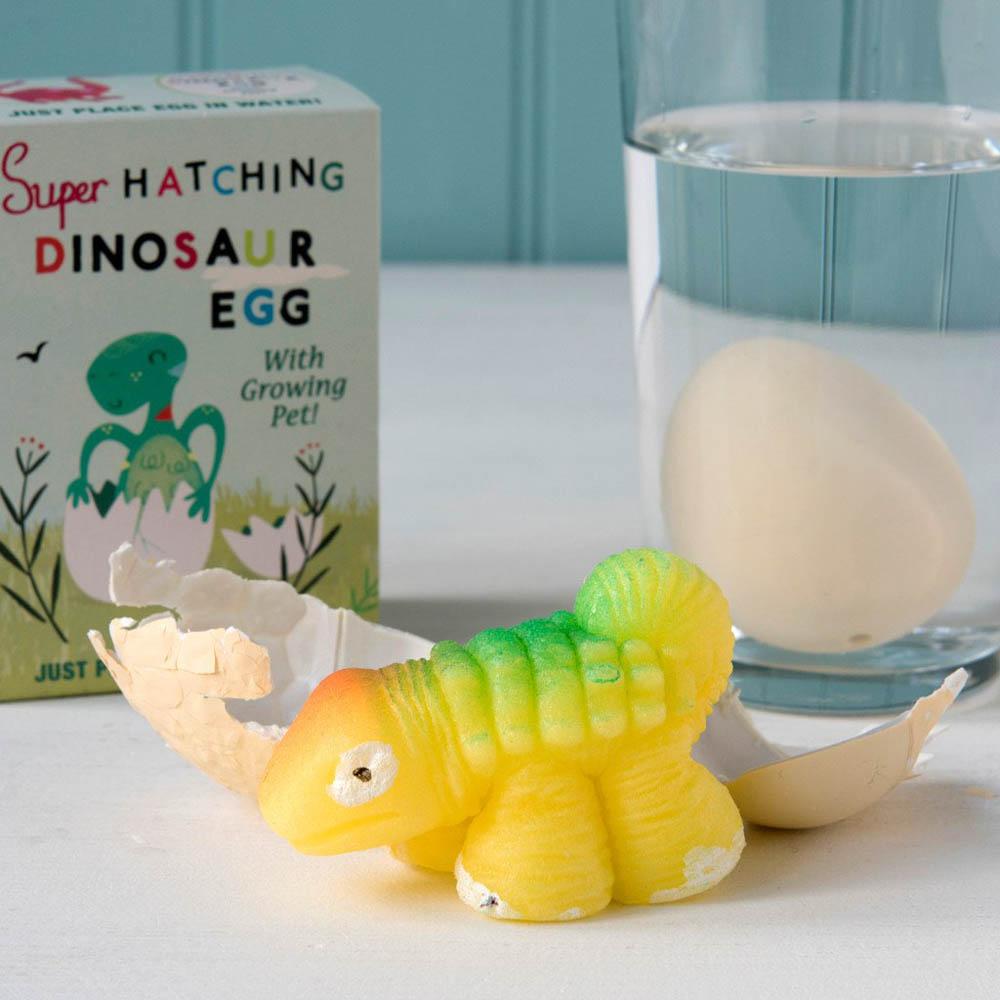 Click to view product details and reviews for Hatch Your Own Dinosaur Egg.