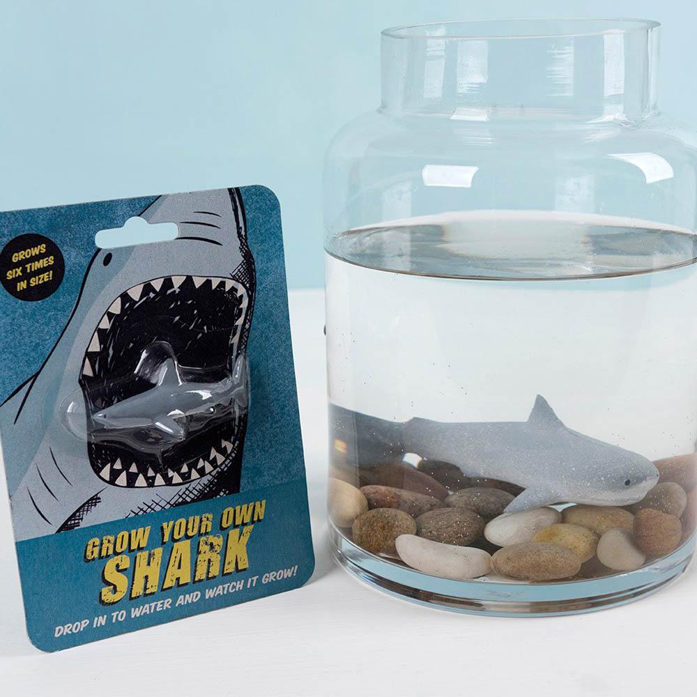 Click to view product details and reviews for Grow Your Own Shark.