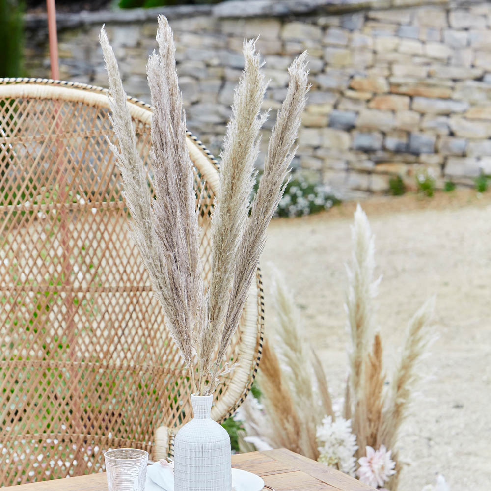 Click to view product details and reviews for Natural Pampas Grass Decorations X5.