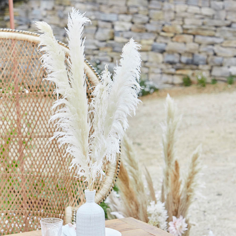 Click to view product details and reviews for Bleached Pampas Grass Decorations.