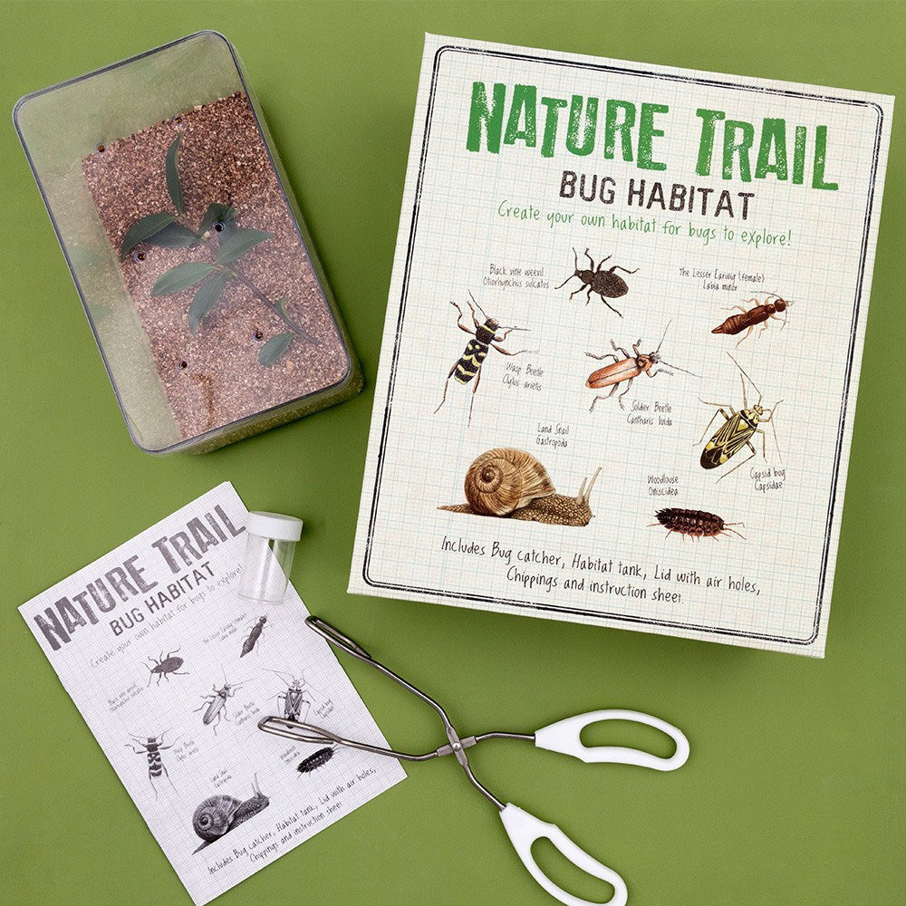 Make Your Own Bug Habitat