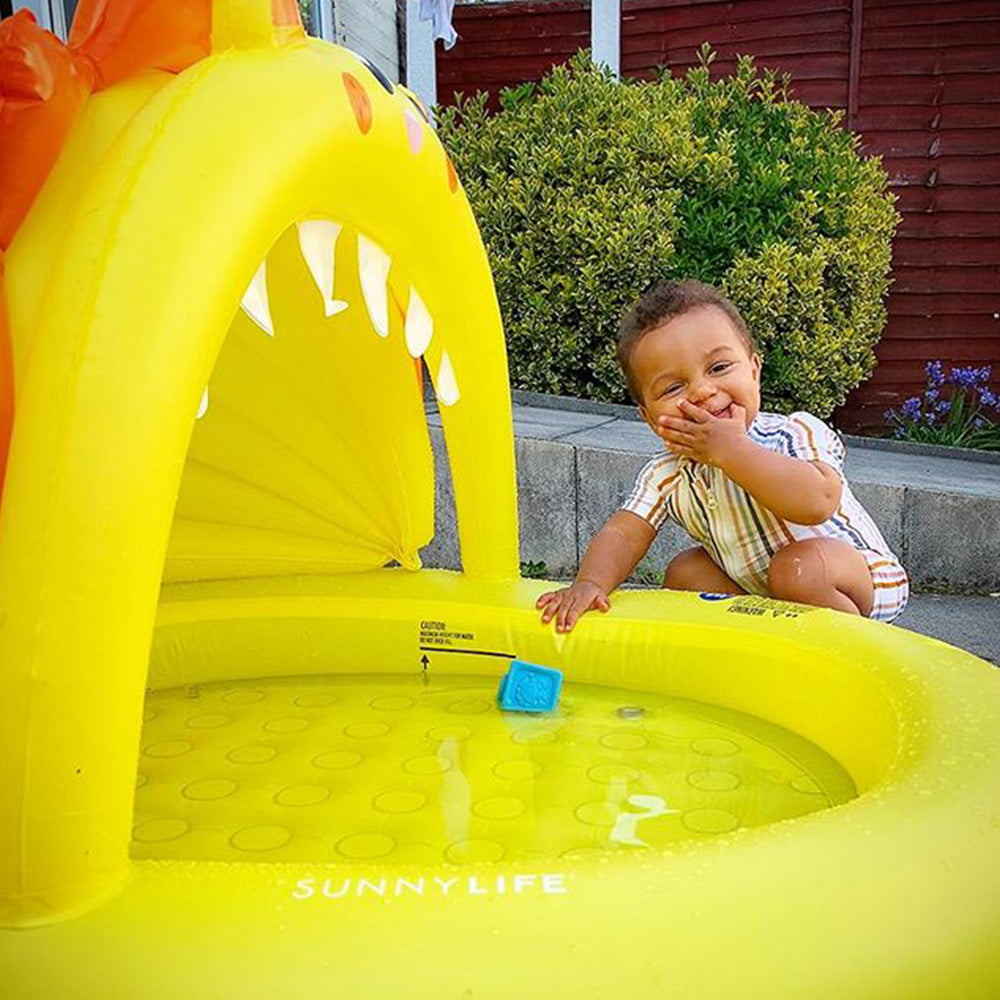 Click to view product details and reviews for Kiddy Lion Pool.