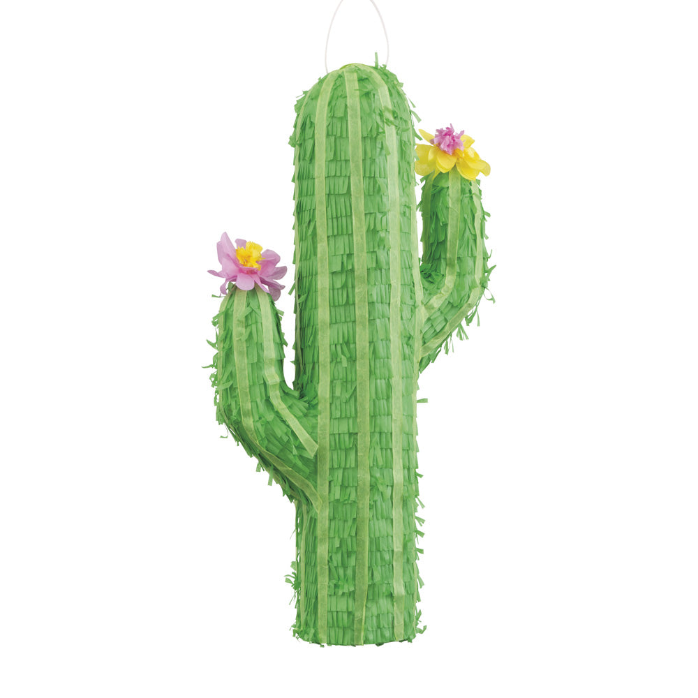 Click to view product details and reviews for Cactus Pinata.