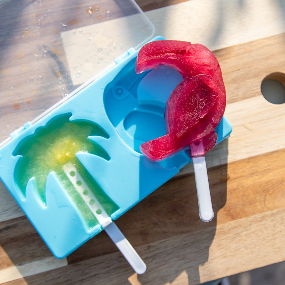 Ice Lollies Mould