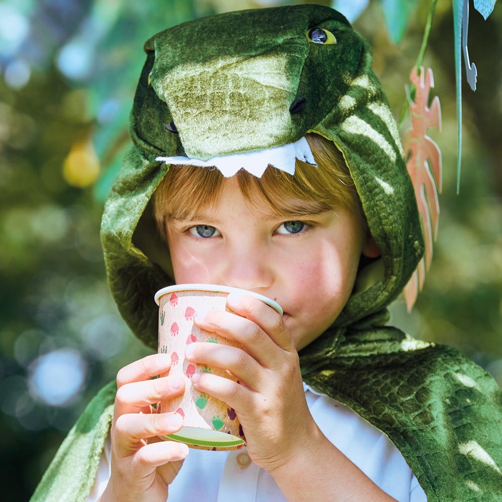 Click to view product details and reviews for Ecosaurus Paper Party Cups X8.