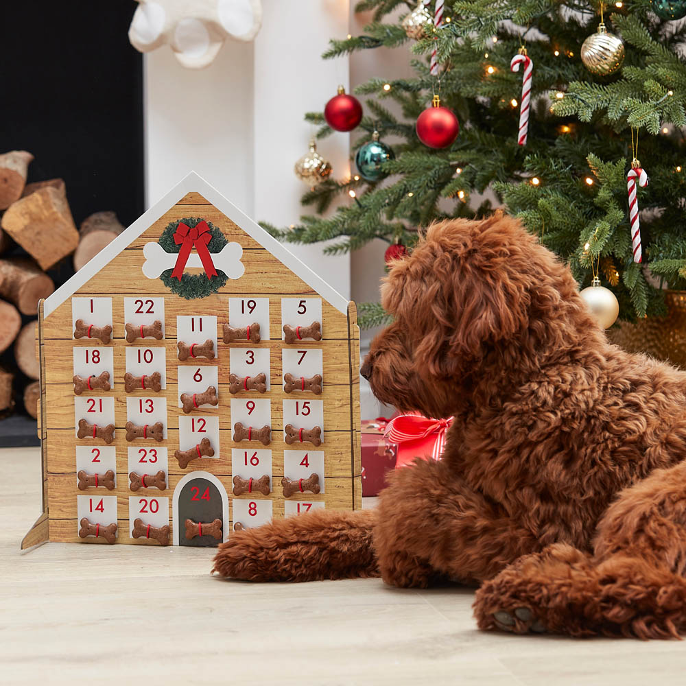 Fill Your Own Dog Kennel Advent Calendar