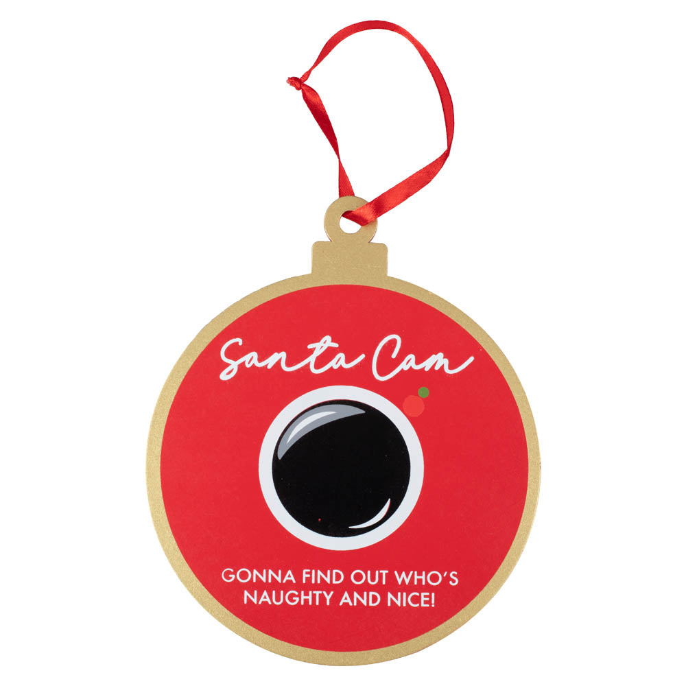 Click to view product details and reviews for Santa Cam Hanging Decoration.