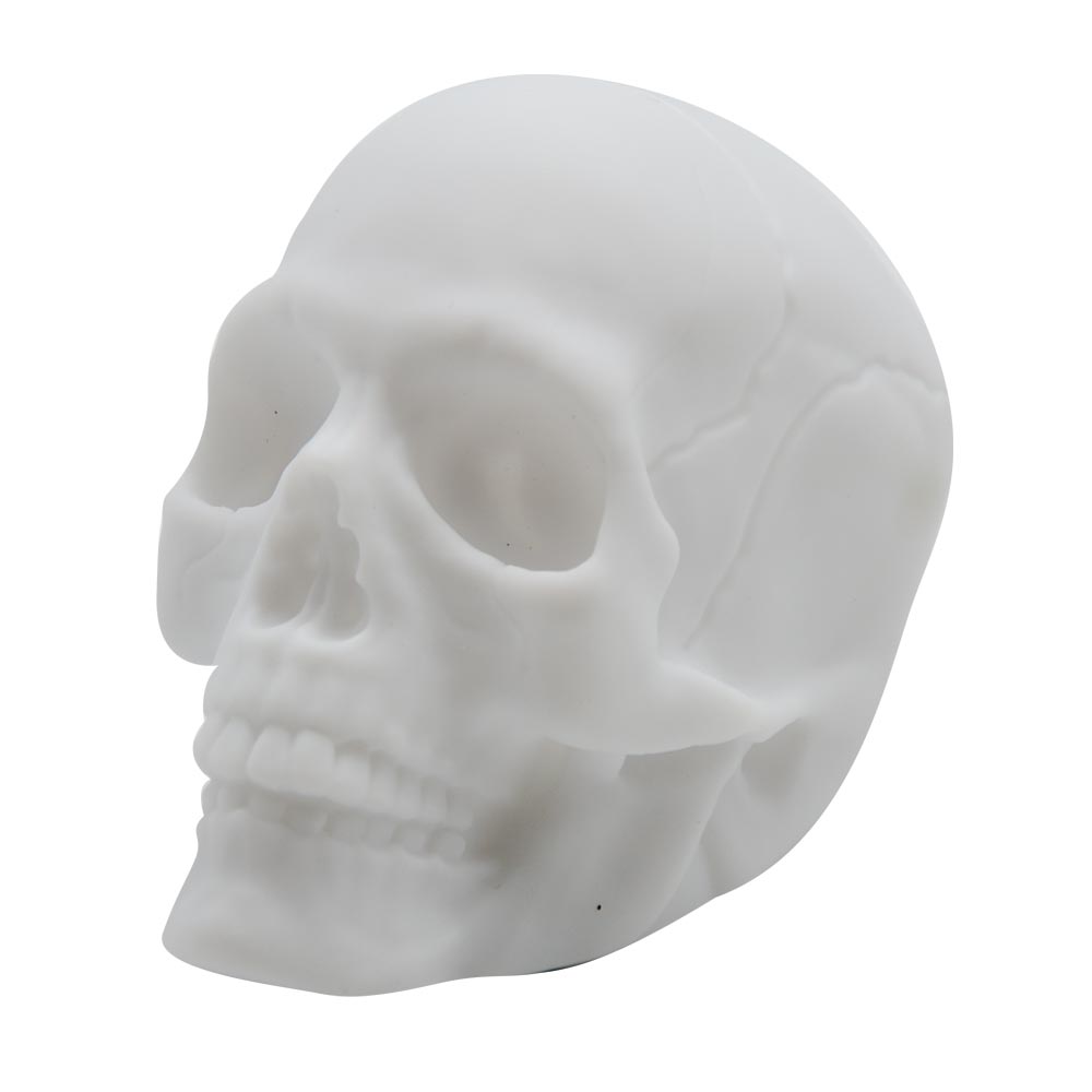 Click to view product details and reviews for Colour Changing Light Up Skull.