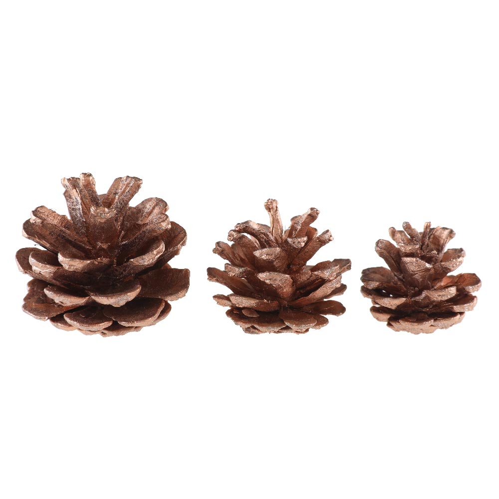 Click to view product details and reviews for Pine Cones Assortment Rose Gold.