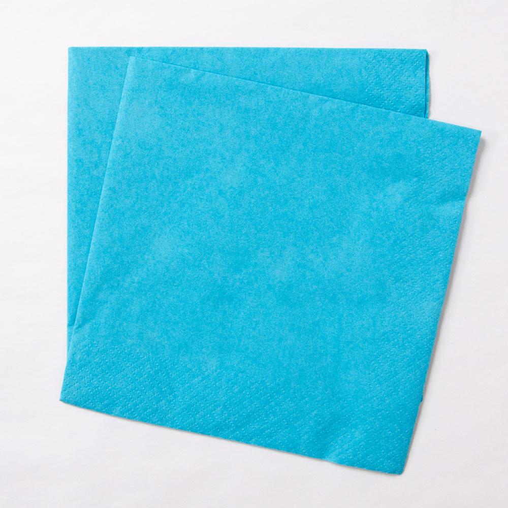 Big Value 2 Ply Paper Napkins Turquoise X100