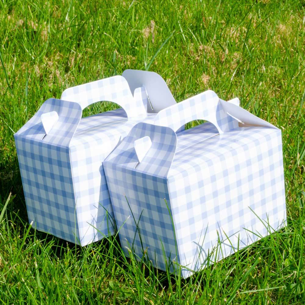 Blue Gingham Party Boxes X4