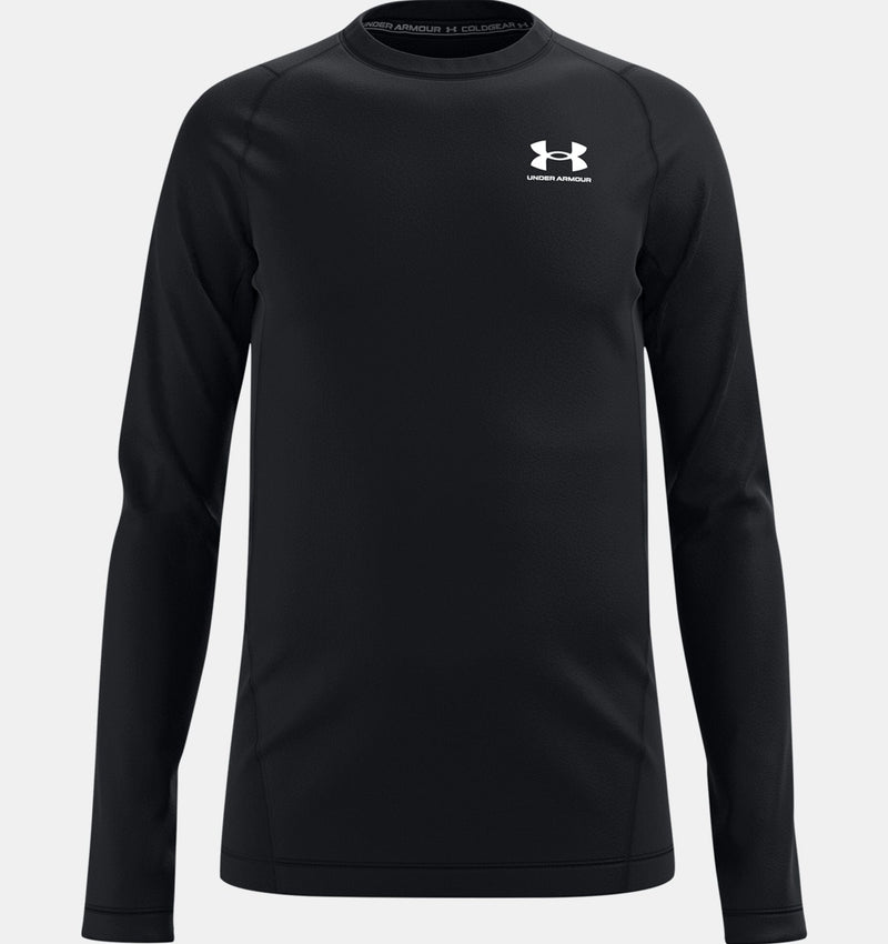  Under Armour Boys' ColdGear Leggings, Black (001)/Graphite,  Youth Large : Clothing, Shoes & Jewelry