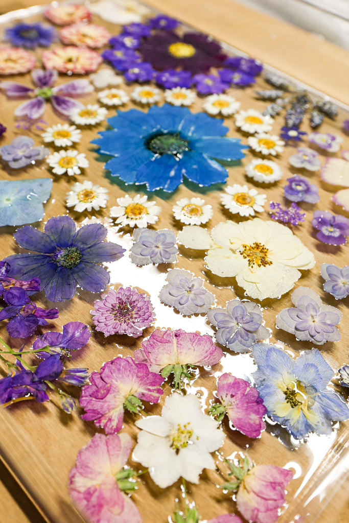 Pressed flowers laid out in a tray with fresh resin pour