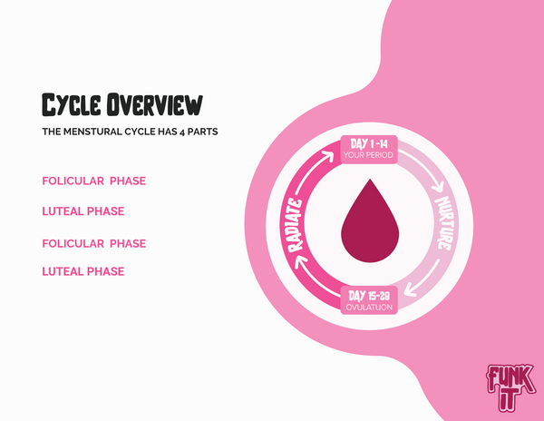 How to eat with your cycle - foods for seed cycling - cycle overview