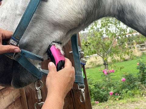 Masterclip Pink Showmate with comb guides clipping a horse