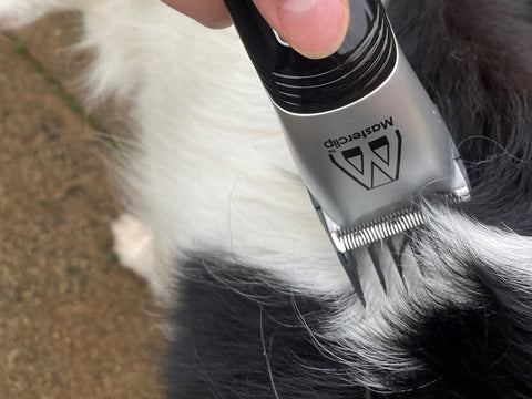 Masterclip Silver Showmate II with comb guides clipping a dog