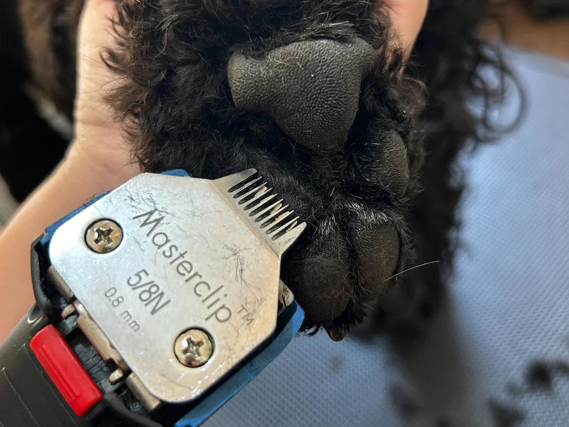 Toe Blade used to carefully trim the V-shape above the large padsof the foot by @Hannah