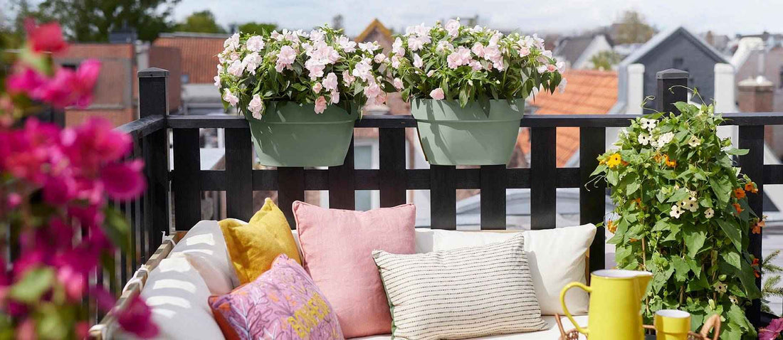 munt Negen weduwe Balkon- en terrasplanten | Makkelijk bestellen | Bakker.com