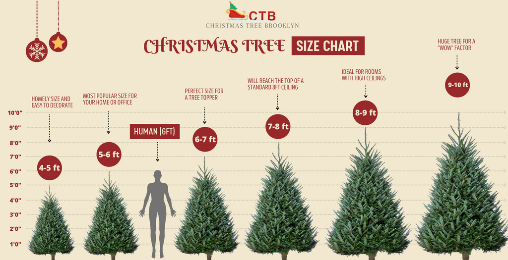 How To Choose The Right Christmas Tree Size