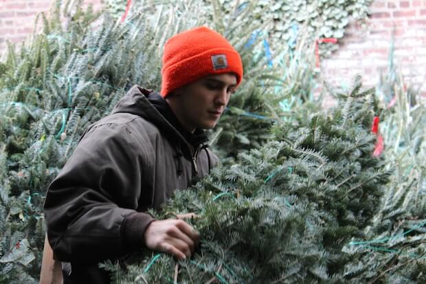 Dan getting Christmas trees ready for delivery