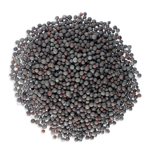 CHP Black/Brown Mustard Seeds