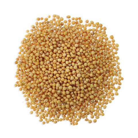 CHP Yellow Mustard Seeds