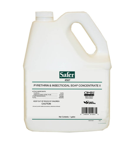 Safer Pyrethrin & Insecticidal Soap Concentrate II, 1 gal, case of 4